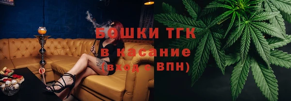 шишки Володарск