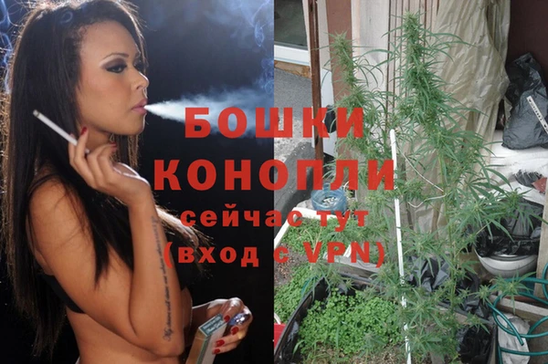 шишки Володарск